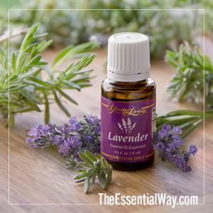 Young Living Lavender Essential Oil The Essential Way