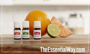 The Essential Way Purchase Young Living Products