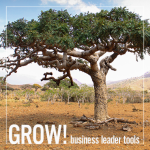 Grow! Young Living Business Tools