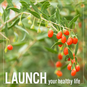 Launch Your Healthy Life